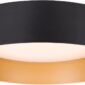 Contemporary LED Ceiling Fixture Sleek Look 1