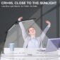Dynamic Dual Light Source Desk Lamp 1