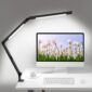 Dynamic Dual Light Source Desk Lamp