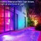 LED Neon Lights with Remote for Bedroom Room and Outdoors Decor 32.8 waterproof