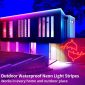 LED Neon Lights with Remote for Bedroom Room and Outdoors Decor 50 waterproof