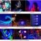 Portable Black Light Bar Setup 4