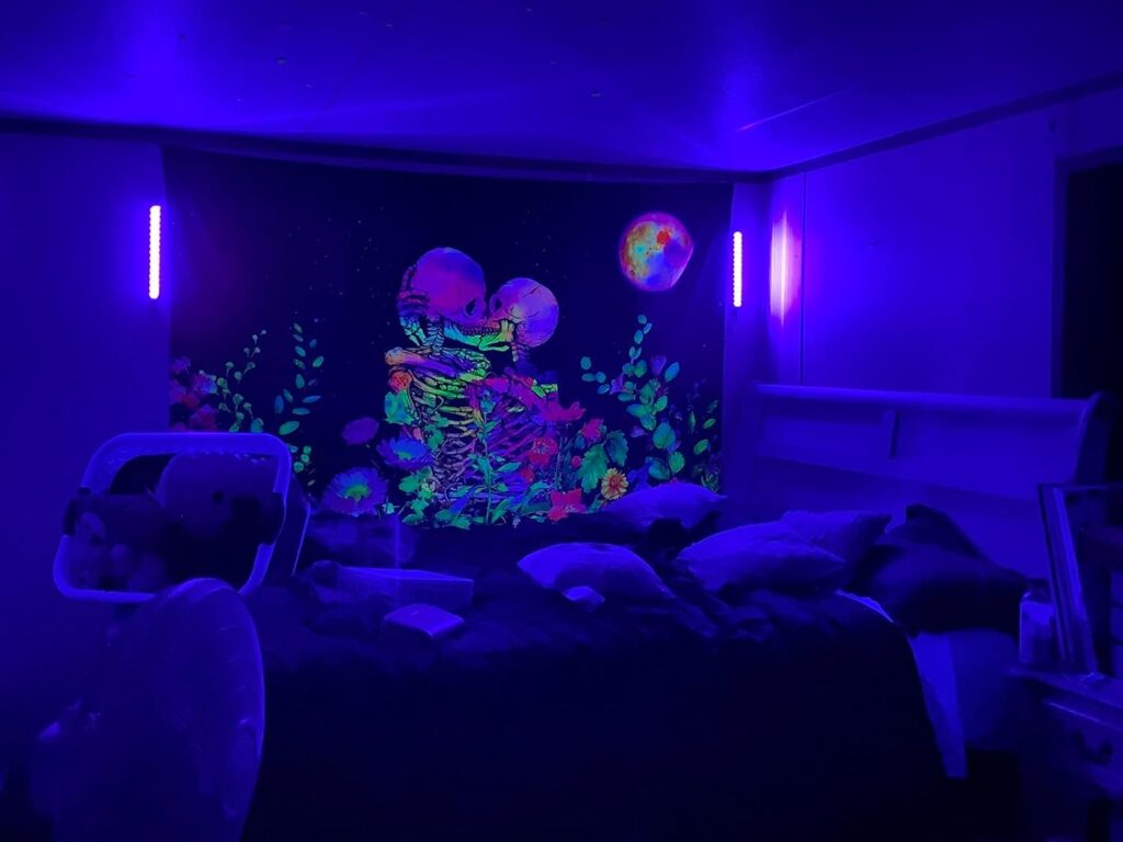 Portable Black Light Bar Setup 5