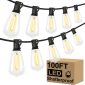 Shatterproof String Vintage Edison Bulbs for Outdoor Decor